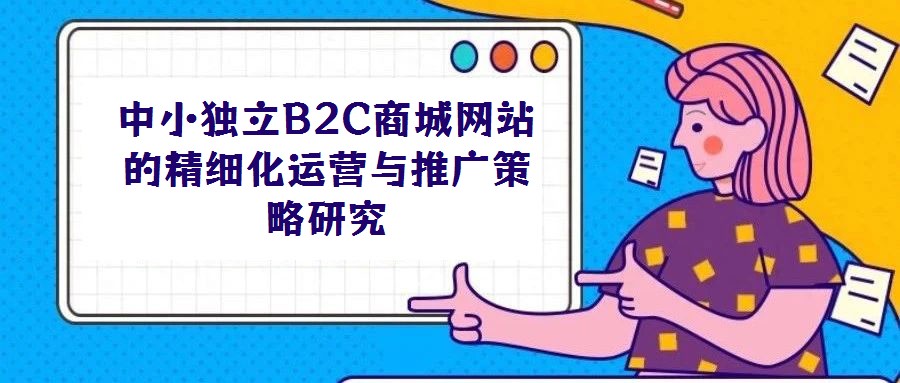 中小獨(dú)立B2C商城網(wǎng)站的精細(xì)化運(yùn)營(yíng)與推廣策略研究